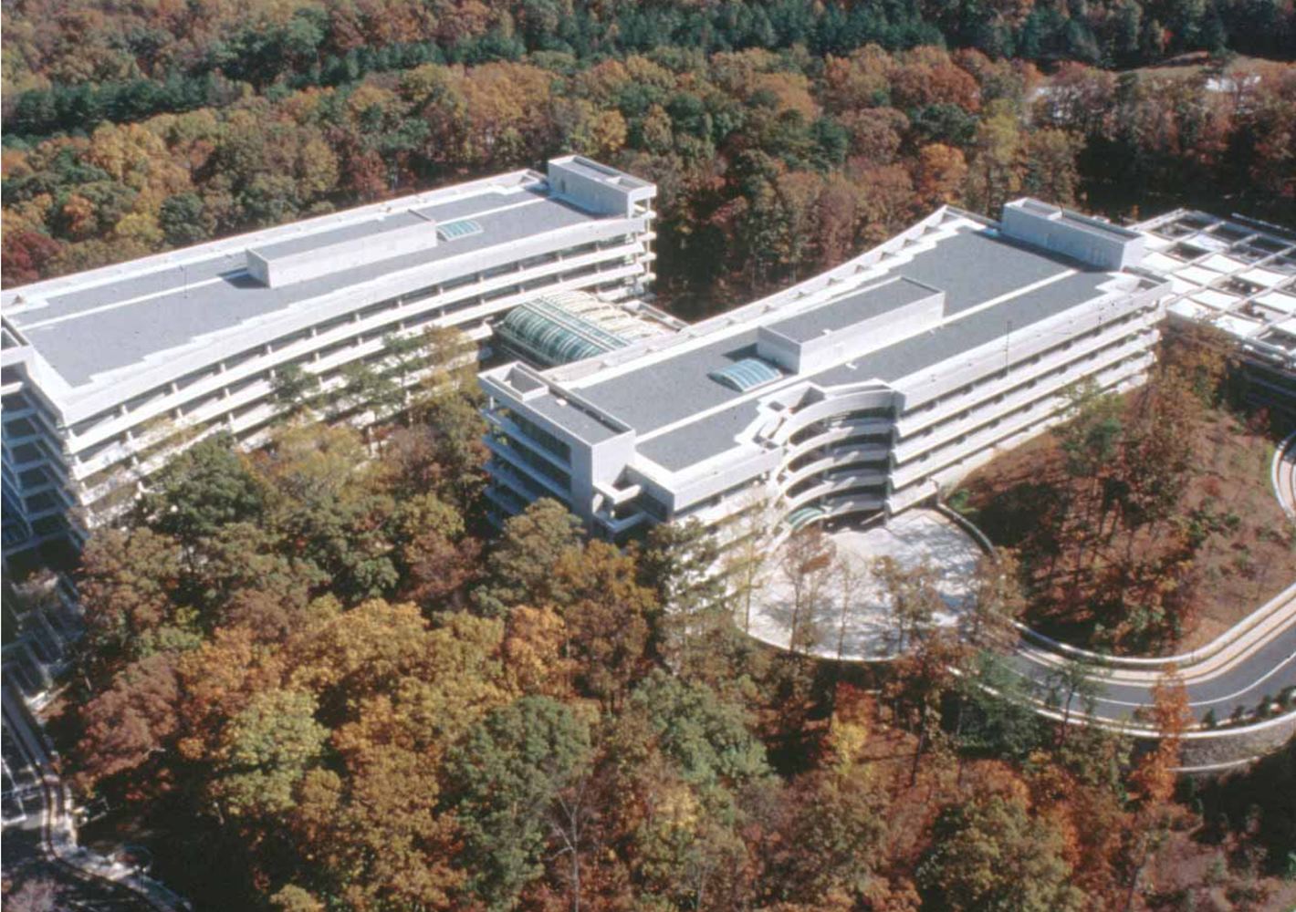 Corporate + Commercial Uzun+Case Structural Engineers + Creative