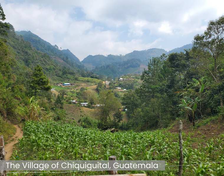 Story - Chiquiguital (1)